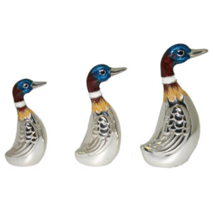 10804 Indian runner ducks