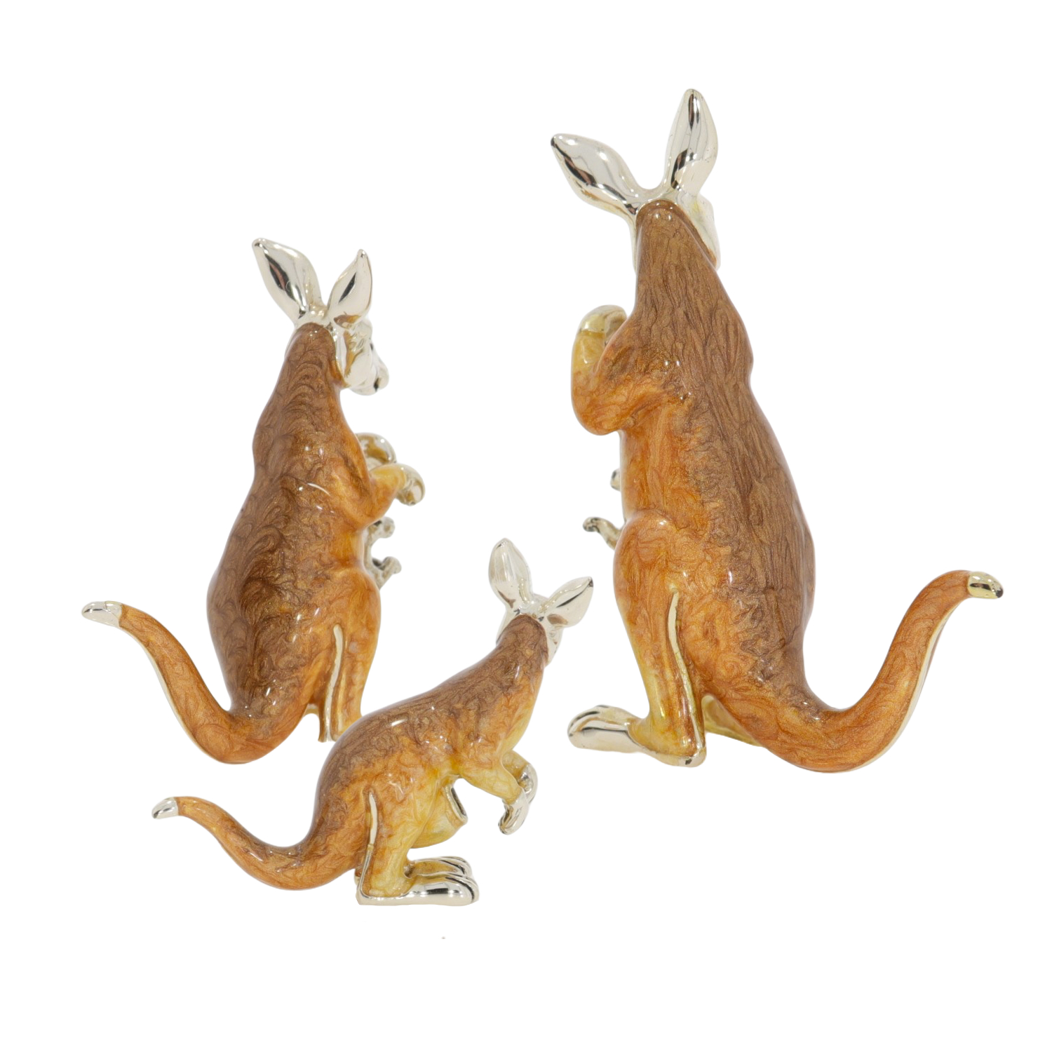 11058 Kangaroos back