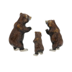 13001 Bears Grizzly backs