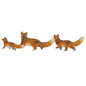 13004 Foxes tails up back