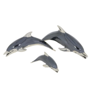 8575 Dolphins oxidised