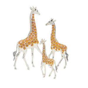 9035 Giraffes back