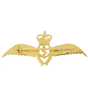 J448 Fleet Air Arm brooch back