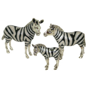 12941 Zebra