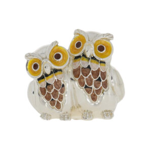 12988 Owls conjoined