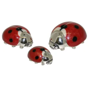 9828-Ladybirds