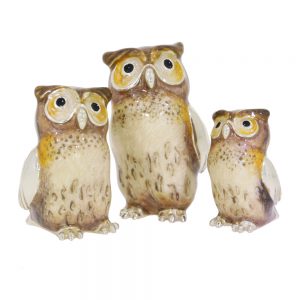 12839 Owls