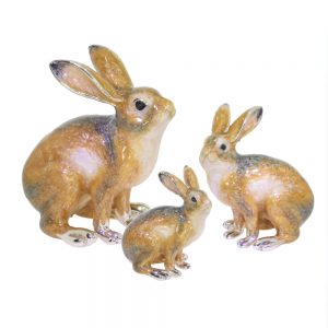 13460 Hares sat