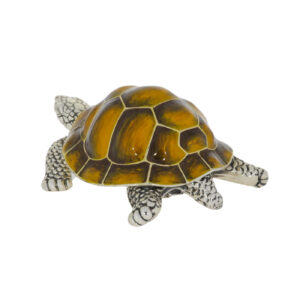 12850L Tortoise back yellow