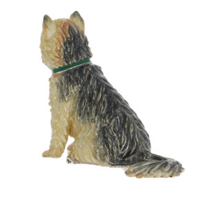 13244-Cairne-Terrier-back