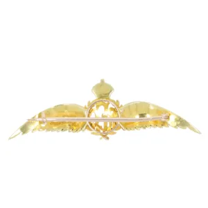 C555 RFC Wings brooch back