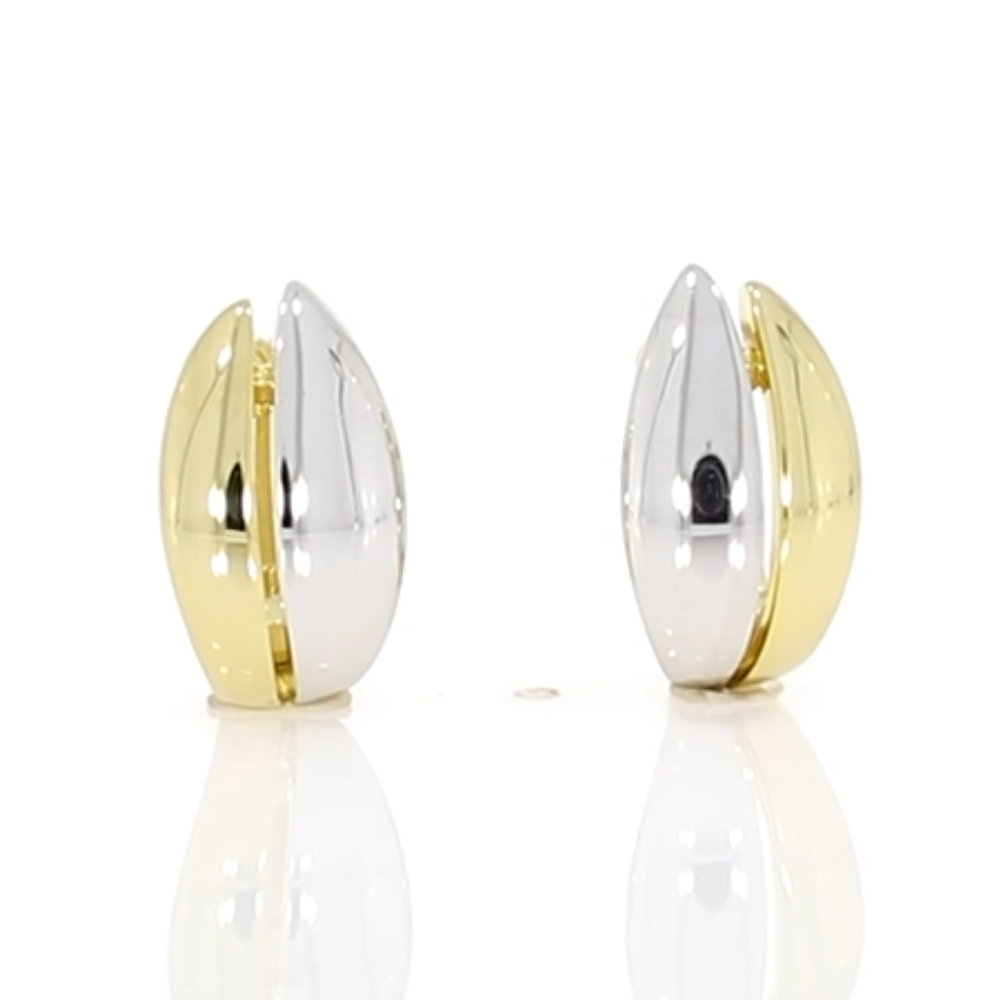 9ct white and yellow gold two row hoop earrings video