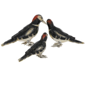 12967 Woodpeckers Black and white back