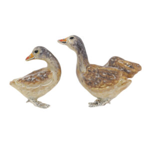 13594 Geese back