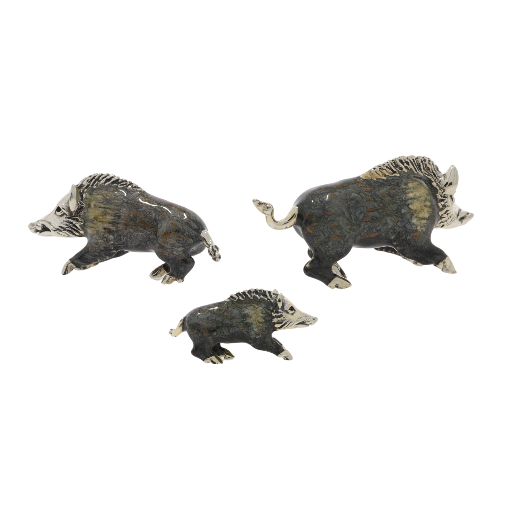 12890 Boars back