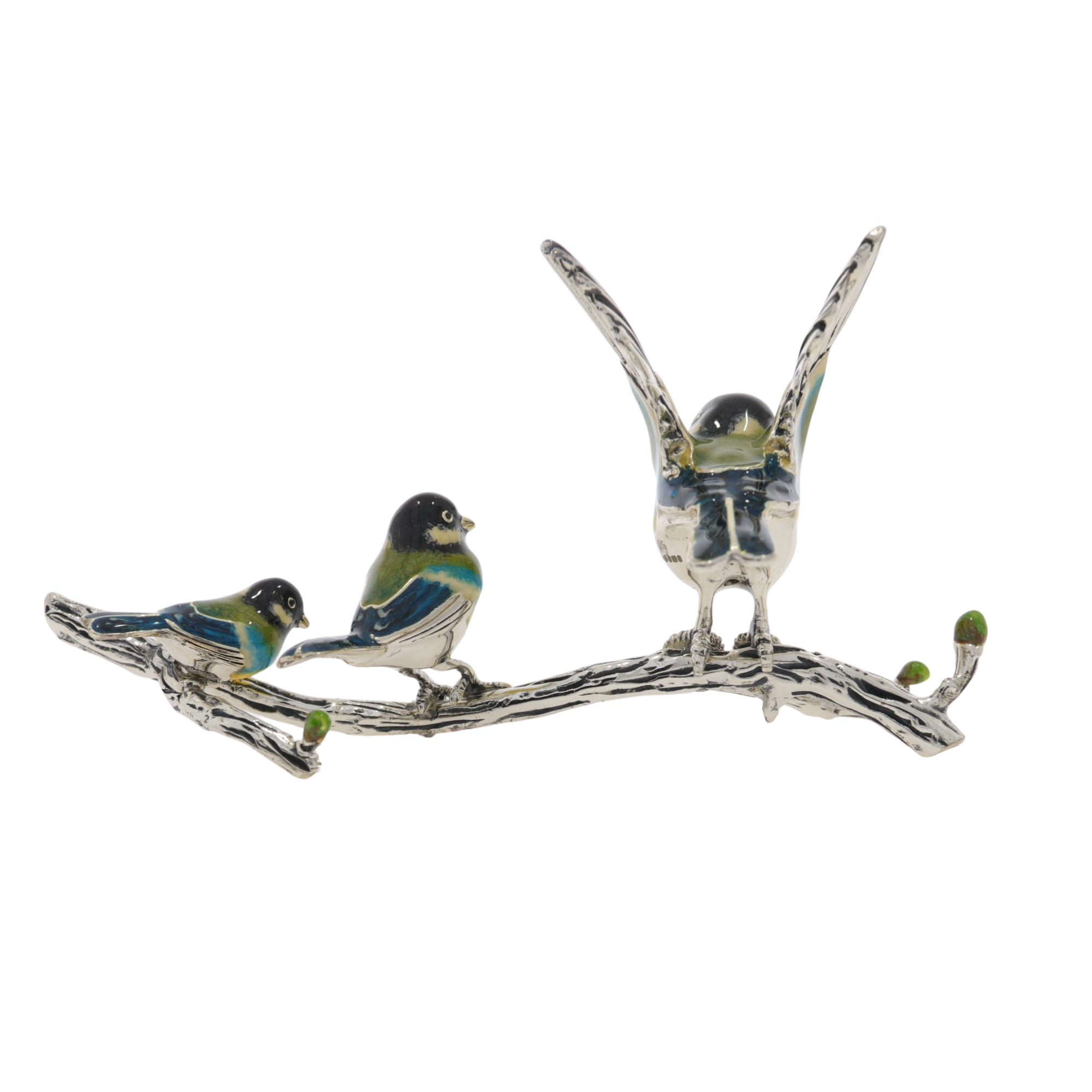 13370 Great Tits on a branch back