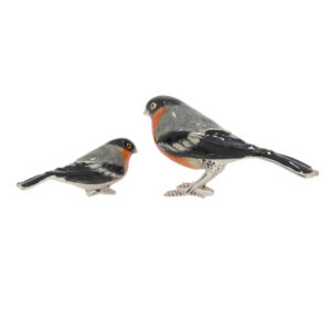 13376 Bullfinch back
