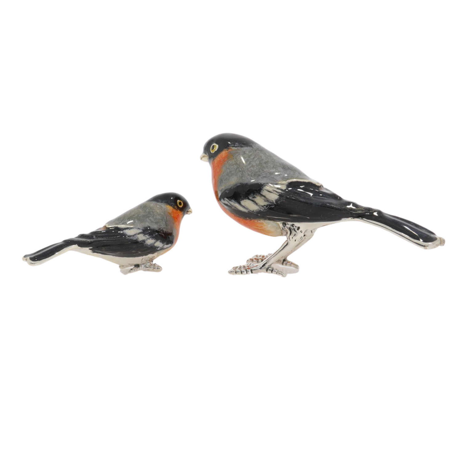 13376 Bullfinch back