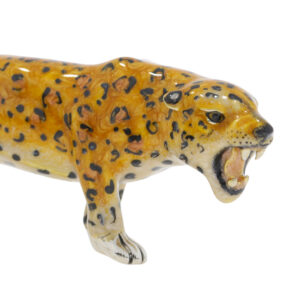 13492 Leopard large jaw