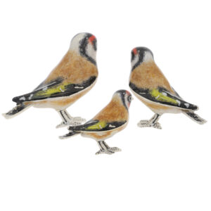 13665 Goldfinches back